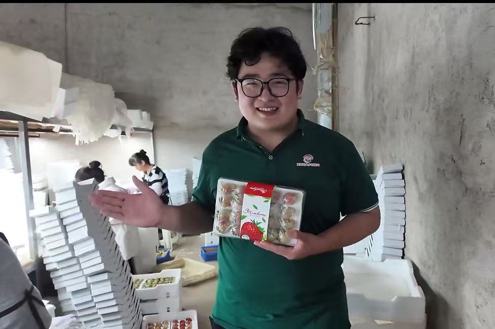 图片 11
